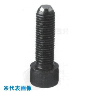 ���j���[�X�g�����O �N�����s���O �X�N����-(BF�^�C�v) �t���b�g�^�C�vM6×23 CBF625(8379394)[�����ʓr���ς�][�@�l�E���Ə�����][�f�O���]
