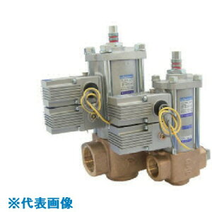 �����{���� 2�����V�����_�o���u 25A DC24V BN5CP2125F24(8387729)[�@�l�E���Ə�����][�O������]