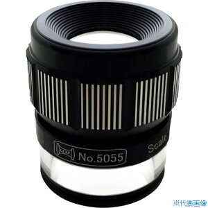 [t XP[[y (1) 5055BP(8481771)[ʓrς][@l][]