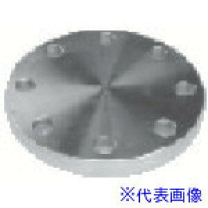 ��inoc �u���C���h�t�����W SUS316 BF 10K 250A 316BF10K250A(8505197)[�����ʓr�����ς�][�@�l����][�f�O���]