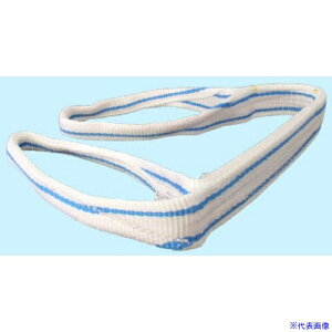 ��TESAC �ω��w��i�p�X�����O(JIS2�����E���[�A�C�`)50mm��×6m PP2E50X6(8518245)[�����ʓr�����ς�][�@�l����][�f�O���]