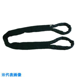 ��TESAC �u���[�X�����O�\�t�gE�`(���[�A�C�^�C�v)13t�p×4m(JIS�K�i�i) TBSE13TX4M(8519186)[�@�l�E���Ə�����][�O������]