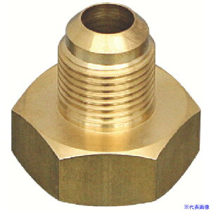 Asada 1/2 {xA_v^ XP563(8520995)[ʓrς][@l][fO]