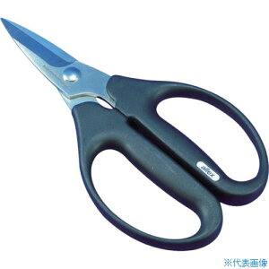 ALLEX n[h͂ H|1 15151(8533682)