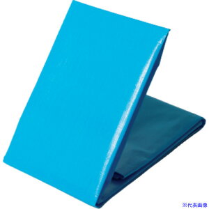  NEOV[g(u[V[g) #3000 4.5m×5.4m NEOS4554(8684464)