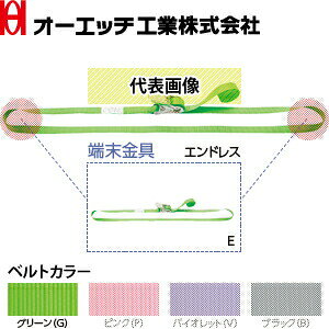 OH(オーエッチ工業) 荷締機 ラッシングベルト ラチェットタイプ SR100E-G ベルトカラー:グリーン(G) 端末金具:エンドレス ベルト長さ:固定側4/巻取側-m