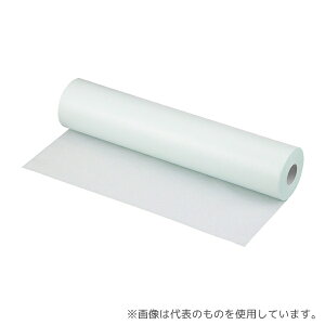 AY RS-300 [V[c O[ 120V[g