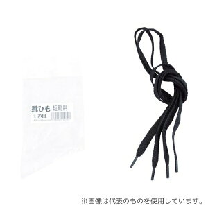 ~hS MSA-SR-M SCpR ҏp