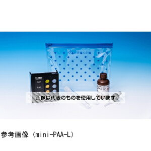 錤 ȈՌ^mini-PAA-L F1