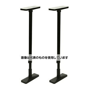 �A�Y����(asone) 650-1000mm �Ƌ�Œ�|�[��(2�{) EA979BB-10 1�g(2�{��)