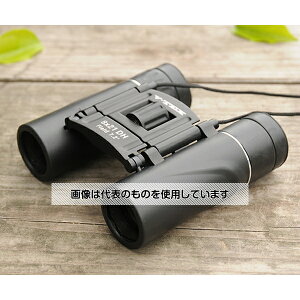 ケンコー・トキナー 8倍DHコンパクト双眼鏡 VT-0821D 入数:1個