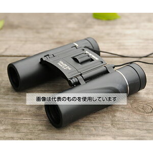 PR[EgLi[ 10{DHRpNgoዾ VT-1025D F1