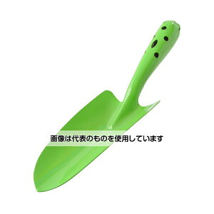 iː쏊 J[ڐASe(O[) 720002 F1{
