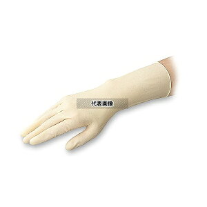 AYsA(AY) AYsAebNXII(sApbN) X[X^Cv(G{X) SS 1000