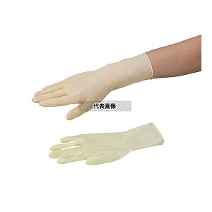 AYsA(AY) AYsAebNXII(sApbN)nCObv^Cv(SʃG{X) SS 1000