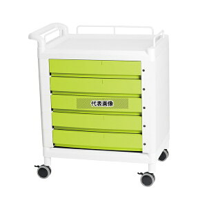 irX(AY) D21G oC}`J[g Бnh O[