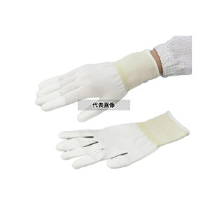 AYsA(AY) AYsA PUR[g(I[o[bN^Cv) wR[g SS 10o