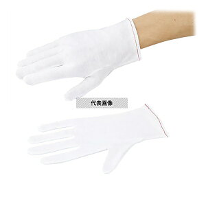 AYsA(AY) }` AYsA ȃXX M 12o