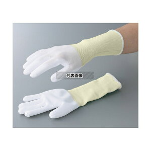 AYsA(AY) AYsAOPUR[g I[o[bN^Cv SS 10o