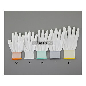 AYsA(AY) AYsAPUN[(nCObv) 10o SS