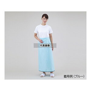 irX(AY) SATTO-BL ƓGv u[