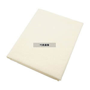 irX(AY) 2919-AS 炩hV[cII(^In^Cv)