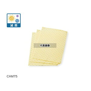 AY CAM75 t̋z}bg(EEn܁E_EAJp)ŋۍ 1(10)