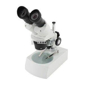 AY ST30RDL(20`40×) ǒ