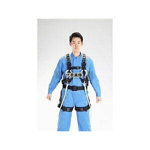 GXR EA998KA-2 ė~p(tn[lX/[vcC[ht)