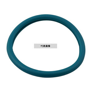 �i�r�X(�A�Y����) �o�C�^���i�r���f��(�v���t�F�b�V���i��) �����p�_�C���t���������O �u���[�O���[��