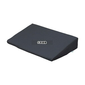 irX(AY) GP-F4-25 ̈ʌŒNbV(AgX)400×250×75mm