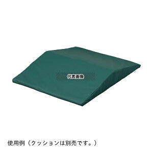 irX(AY) ̈ʌŒNbV(AgX)hJo[(GP-F4-50p)