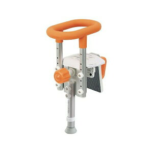 pi\jbNGCWt[ Obv NA(jbgoXp) RpNg130rtS IW PN-L12313D 1