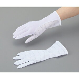 AYsA(AY) AYsAhoESD(O^Cv) SS 1(10o) 1(10o)