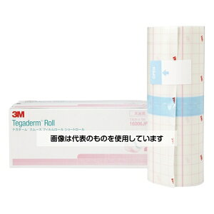 X[G eK_[(TM) X[X tB[(V[g[) 15cm×5m 16006JPS F1[^