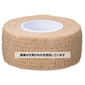 fBJ e͕ x[W 2.5cm 24 F1(24)