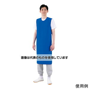 AY(AS ONE) h炩Gv t[ F1