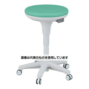 AY(AS ONE) TXeBiuZNg`FA(LX^[dl)O[ NVHC-GRN F1