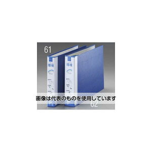 GXR A3/E^ JpCvt@C(500) EA762CL-62 F1