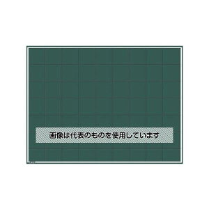 }C]bNX nfBXX`[O[{[h SG-100A F1