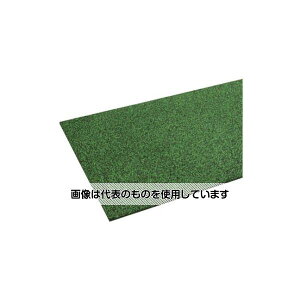 ~dV}H KipMYS}bg H[180 MO[ 4980051 F1Zbg