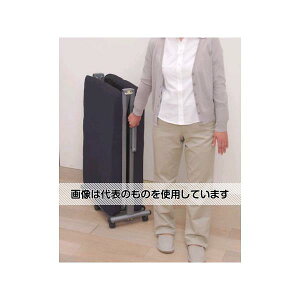 AY(AS ONE) 1905x 670x310mm xbh(܏) EA913YH-1 F1