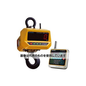 N{^v hEhozCXgXP[1000kg(薳) HSCDW10 F1Zbg