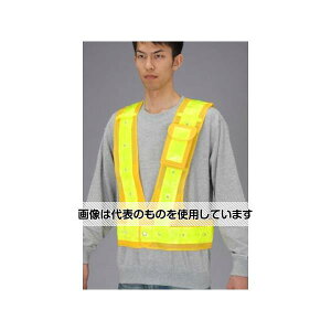 GXR SxXgELED(/) EA983R-71 F1
