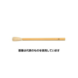 AY(AS ONE) 11 M(Rr) EA109MJ-81 F1{