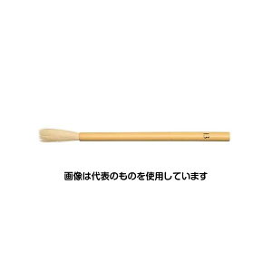 AY(AS ONE) 13 M(Rr) EA109MJ-83 F1{