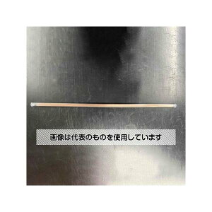 AY(AS ONE) 2.4x500mm/ 150g ӁE낤(BCUP-2) EA307A-2 F1