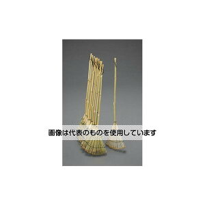 GXR 250x 800mm F(|E10{) EA650RA-16 F1g