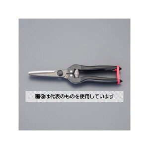 AY(AS ONE) 200mm \͂ EA540CE-2 F1