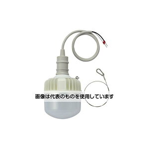 AY(AS ONE) AC100-200V/80W/d/LED(\Pbǧ^) EA758XN-5 F1